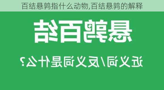 百结悬鹑指什么动物,百结悬鹑的解释