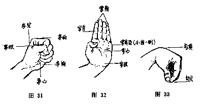 撺拳拢袖的近义词_拳缩的意思