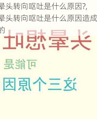 晕头转向呕吐是什么原因?,晕头转向呕吐是什么原因造成的