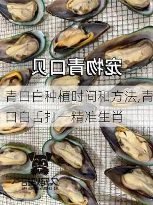 青口白种植时间和方法,青口白舌打一精准生肖