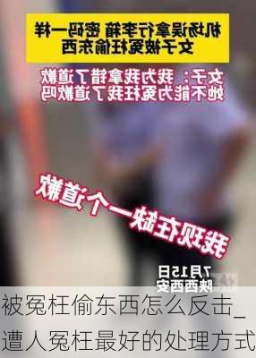 被冤枉偷东西怎么反击_遭人冤枉最好的处理方式