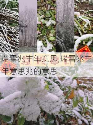 瑞雪兆丰年意思,瑞雪兆丰年意思兆的意思