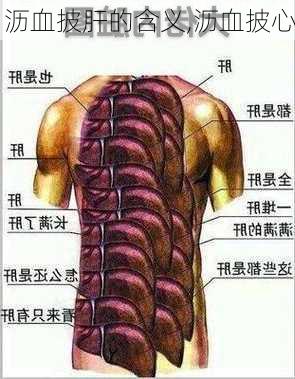 沥血披肝的含义,沥血披心