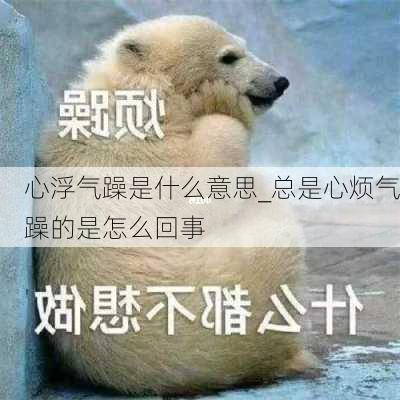 心浮气躁是什么意思_总是心烦气躁的是怎么回事