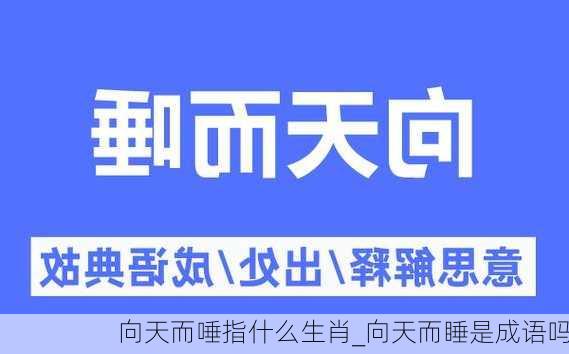 向天而唾指什么生肖_向天而睡是成语吗