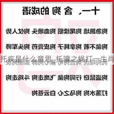 托疾是什么意思_托骥之蝇打一生肖