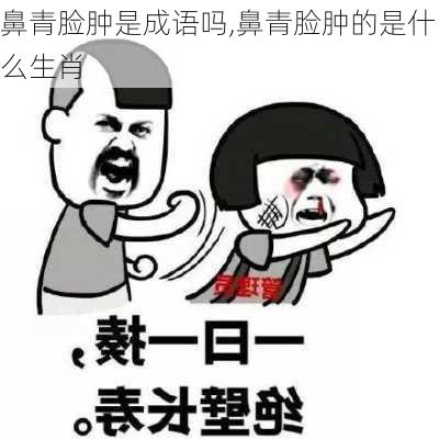 鼻青脸肿是成语吗,鼻青脸肿的是什么生肖