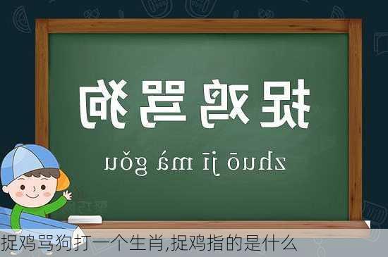 捉鸡骂狗打一个生肖,捉鸡指的是什么